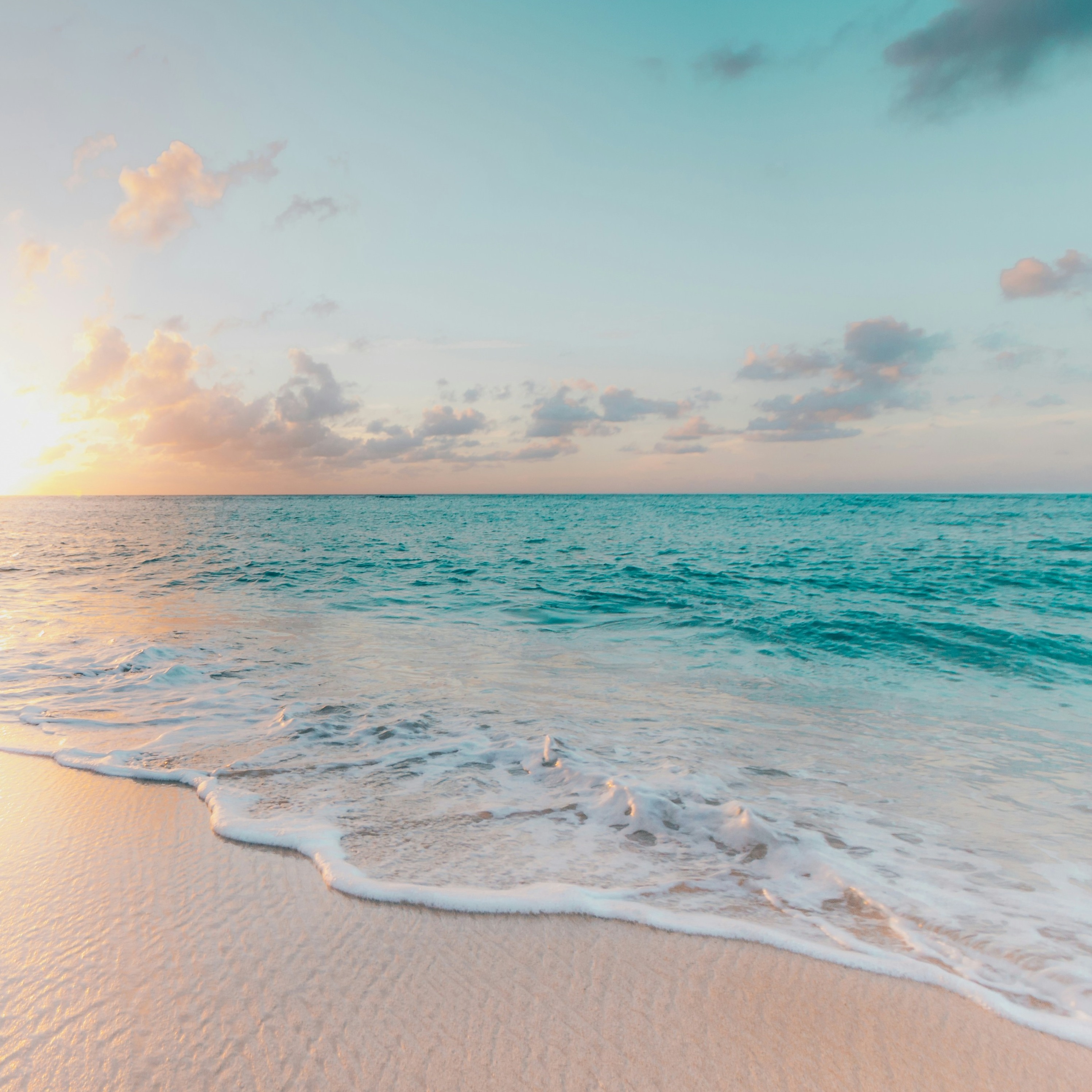 The beach
