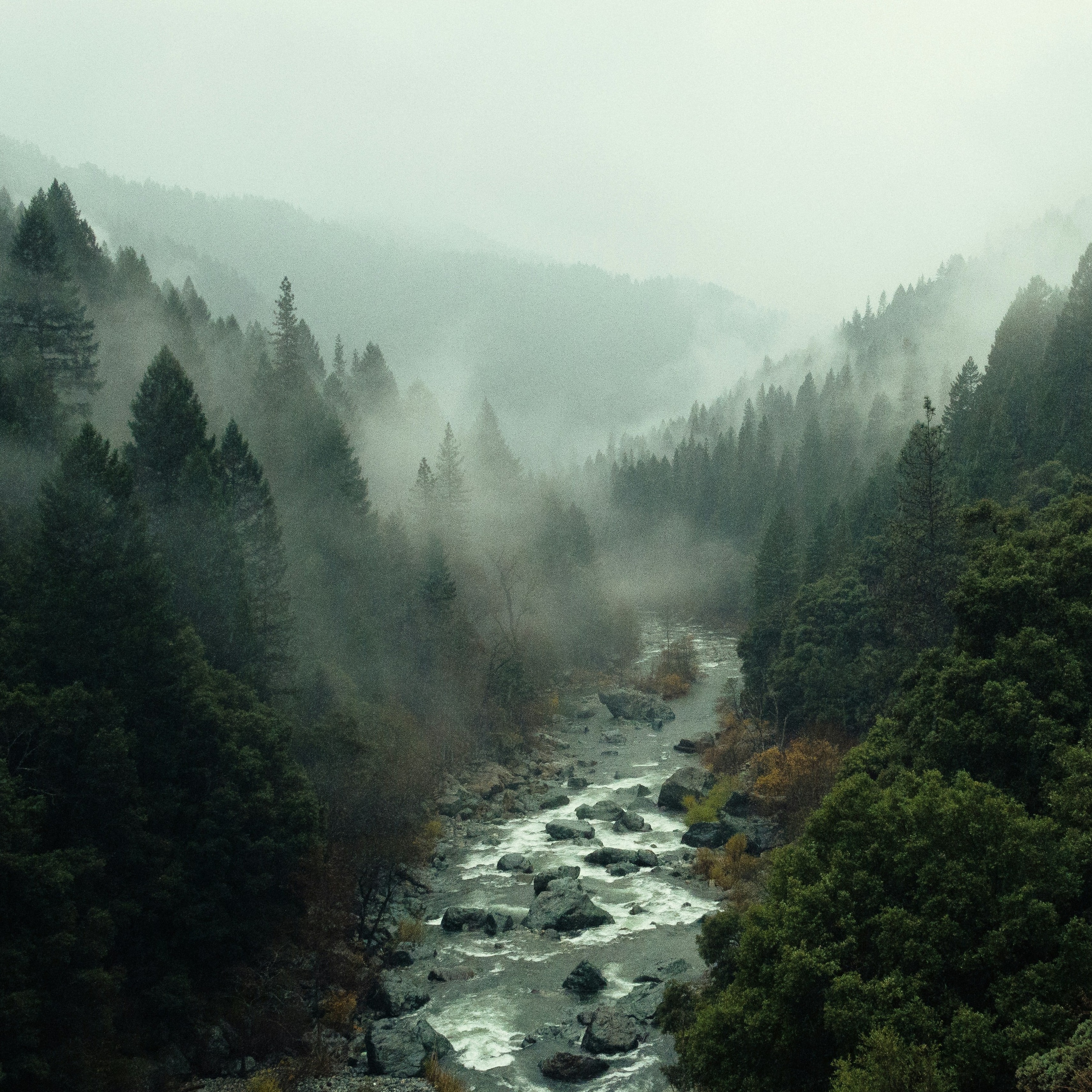 The mountains